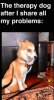 2902AE9C-C8DD-45BF-9849-DAD9B47D8804.jpeg