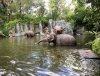 20FE0320-2636-4CF8-BE1D-BD6DE4721274.jpeg
