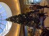 MVIMG_20201118_094528.jpg