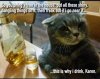 201764FA-BDD2-4289-953F-C96FA506BCC4.jpeg