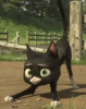 539258