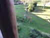 D0A91C3C-C3AD-4998-8FA1-B68563523DA3.jpeg