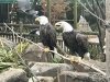 B94D310E-EAEA-41EE-9AEE-6B1CAA89BDDB.jpeg