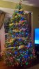20201124_192654_copy_1296x2304.jpg 20201124_192654_copy_1296x2304.jpg