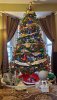 20201126_120517_copy_1701x3024.jpg