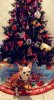 127FF889-3E5F-407E-9943-1D7B682BEE4B.jpeg