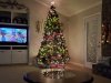 20201127_193841.jpg