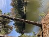 IMG_4681.jpeg