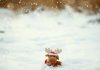 1238450-bigthumbnail.jpg
