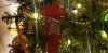 20201203_203159.jpg