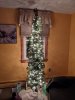 PXL_20201202_220315131.MP.jpg