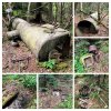IMG_0918-COLLAGE.jpg