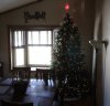 IMG_0532.JPG