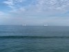 IMG_8436.jpg