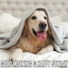 C7D341DC-A2B0-4093-AD4C-07C9A84C327A.jpeg
