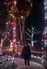 6BEAA167-80B7-43C3-B500-A32A8403341C.jpeg