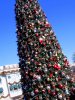 IMG_3524-1.JPG