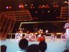 009-1.jpg