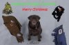 2FCFD00D-09FD-4B27-B6F2-82F2AD7285EF.jpeg