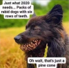 545297