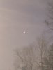 PXL_20201221_223113448.NIGHT.jpg