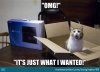 0C4C9654-9B2D-4A46-A6F6-4D390A3E22F5.jpeg
