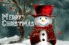 merry-christmas-greeting-cards1.jpg