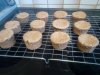 cooling sponges.jpg