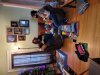 20201225_105133.jpg