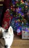 20201225_172026.jpg