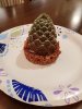 MGM-starbucks-pinecone 3.jpg