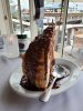 DS-Boathouse-turtle pie 3.jpg