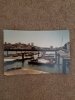 April 2000 sea lions.jpg