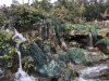 13A5394B-E084-44DE-B8BA-C935BC433B00.jpeg
