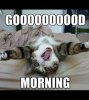 808971E0-9E7C-406F-9BE5-B8ACBA106024.jpeg