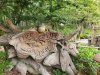 20201214_092052.jpg