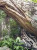 20201214_095519.jpg