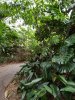 20201214_110013.jpg