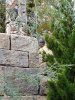 20201213_134206.jpg