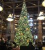 8FF3936E-1BDA-40BB-A321-ACAFE820E86F.jpeg