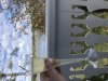 C32E22DF-EDD7-48F4-8F4C-B4B24D16C75C.jpeg