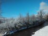 20210102_095155.jpg