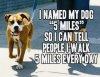 A60AB9BA-16CF-4988-BDDA-84824B4DB478.jpeg