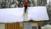 snow.gif