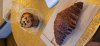 20210103_071825.jpg