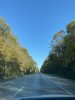 IMG_7155.JPEG
