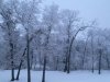 43F135A0-D3A2-48AE-849C-38265C21A632.jpeg
