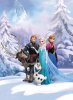 frozen-winter-land-wallpaper-mural-disney-28599-p.jpg