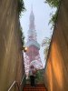 Tower Stairs.jpg