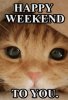 33BA6A6C-ABC2-47ED-8329-38B46D3633FA.jpeg